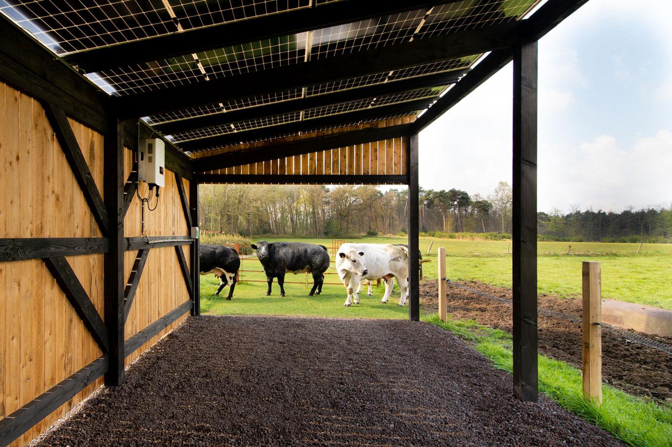 Stalling Springweg Bouveloo - Stalling