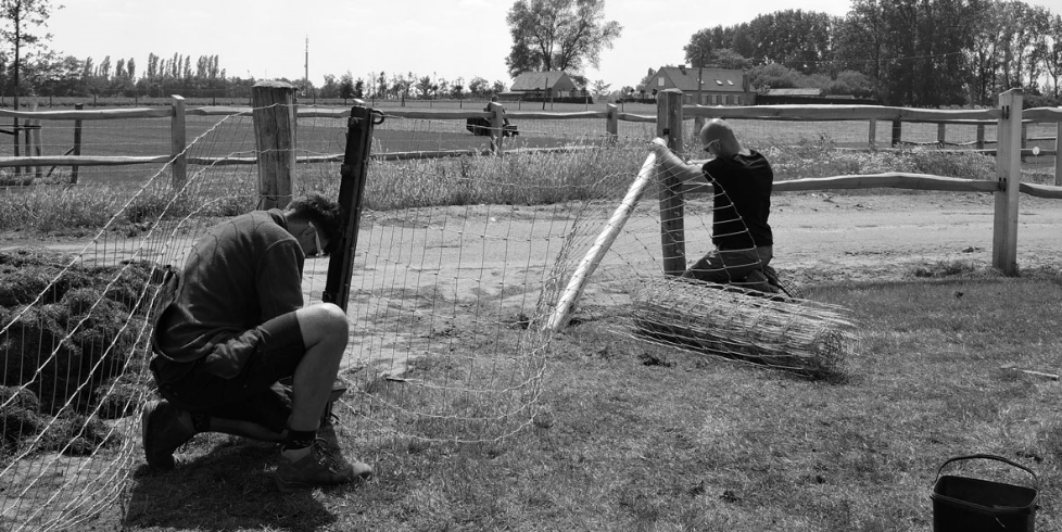 Contact foto Bouveloo